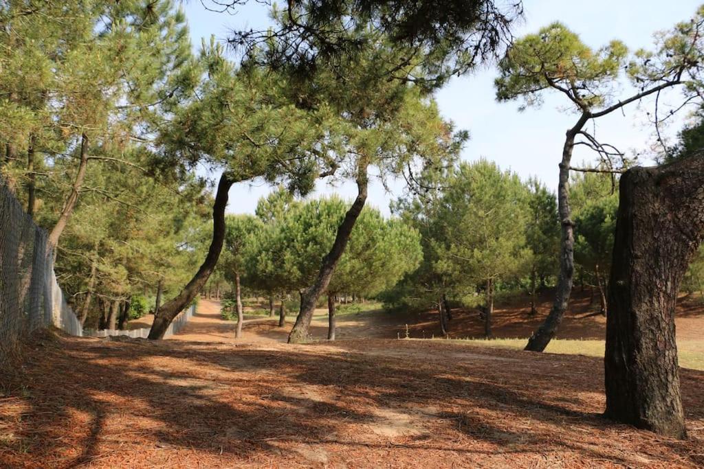 Vaimiti, Cabane Cosy Sous Les Pins Saint-Brévin-les-Pins Dış mekan fotoğraf
